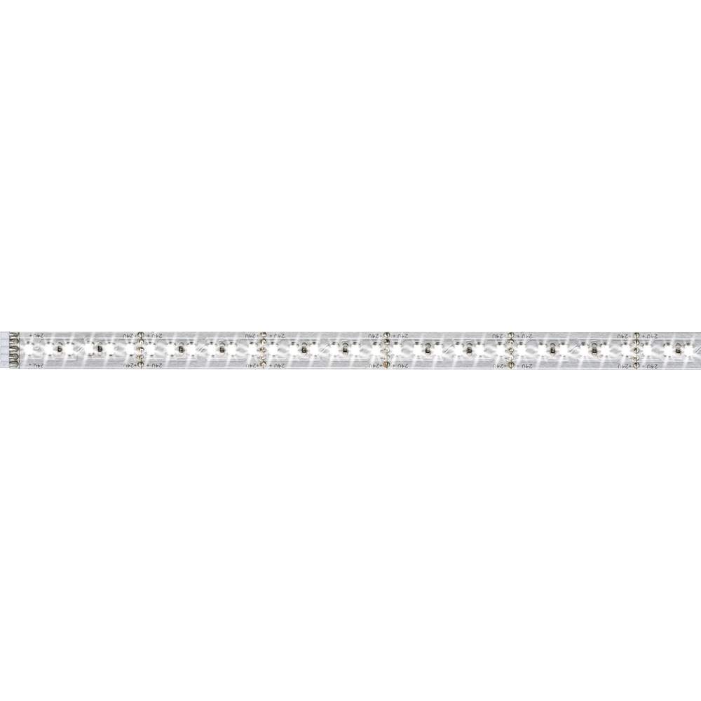 Paulmann 705.72 Strip, Silver