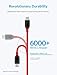 Anker [2-Pack] Powerline+ USB C to USB A Fast Charging Cable, for Samsung Galaxy Note 8 / S8 / S8+ / S9 /S10, Sony XZ, LG V20 / G5 / G6 and More (3ft)(Red)