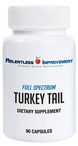 Relentless Improvement Turkey Tail Mushroom | NO FILLERS | Full-Spectrum Mycoproduct | 600mg 90 vegecapsules