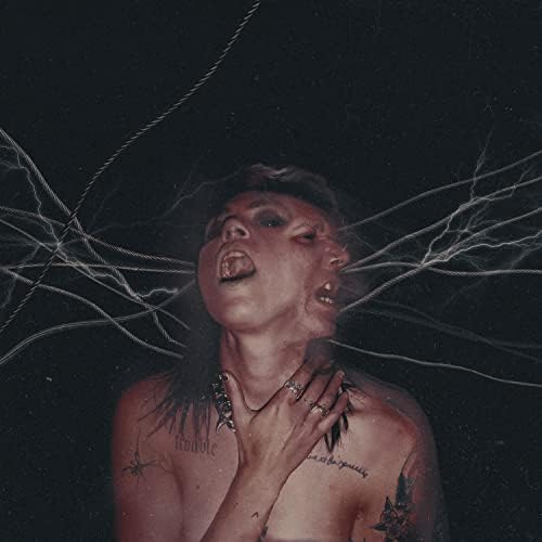Amazon.com: hooke's law: CDs & Vinyl