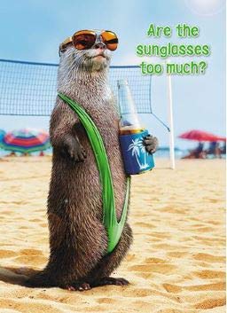 Avanti Humorous Male Birthday Card From the Range - Otter Wearing a Mankini, Sunglasses too Much? - Greeting Card For Him (GBCC-AVEDH0021)