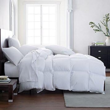 The Ultimate Plush Twin Down Alternative Comforter Duvet Insert with Tabs Hotel Luxury Machine Washable (Twin)