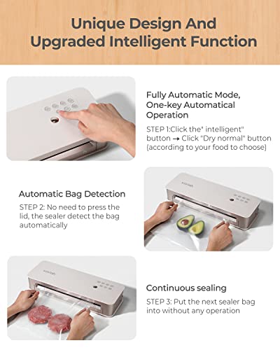 rent rug doctor at kroger