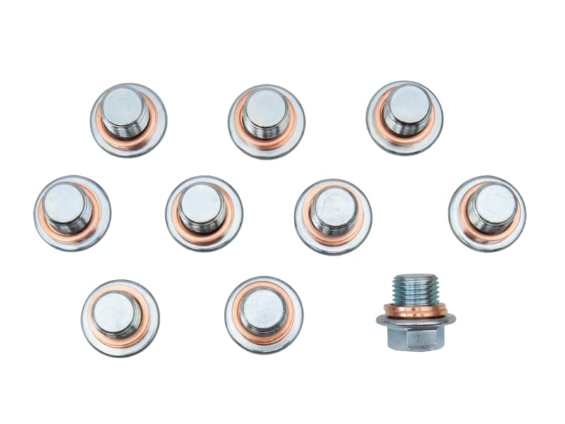 10 TAPONES Y 20 ARANDELAS M13X