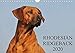 Rhodesian Ridgeback 2020 (Wandkalender 2020 DIN A4 quer): Eine der beliebtesten Hunderassen, der Rho by 