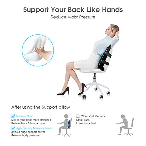 HOKEKI Lumbar Support Pillow, Meets The Ergonomic Memory Foam Lumbar