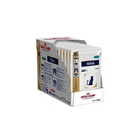 Doppelpack Royal Canin Renal - Veterinary Diet Huhn 24x85g