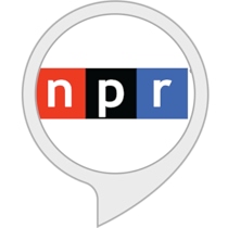 NPR Hourly News Summary