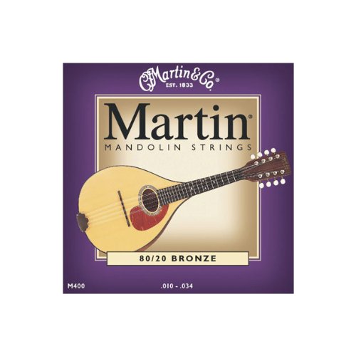 Martin 80/20 Bronze Acoustic Guitar Body (M400)