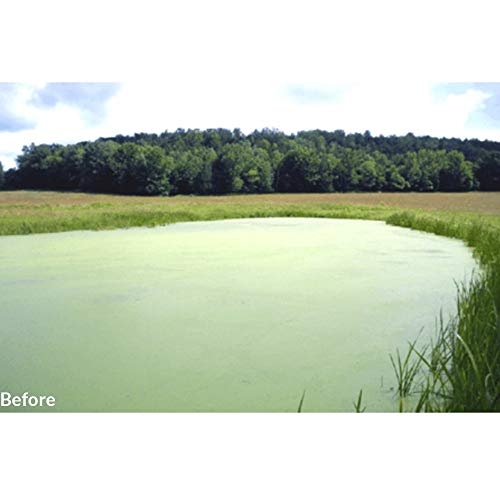 ALLIGARE Propeller Aquatic Herbicide