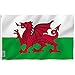 Anley Fly Breeze 3x5 Foot Wales Flag - Vivid Color and UV Fade Resistant - Canvas Header and Double Stitched - Welsh National Flags Polyester with Brass Grommets 3 X 5 Ft primary