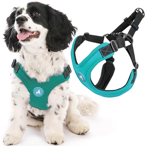 Gooby Escape Free Sport Harness - Turquoise, Medium - No Choke Step-In Patented Neoprene Small Dog Harness, Four-Point Adjustment - Perfect on the Go Dog Harness for Medium Dogs No Pull and Small Dogs