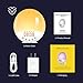 Wake Up Light, Alarm Clock with Recording Function, 7 Colors Night Light, Sunrise Simulation Snooze for Kids, Heavy Sleepers, FM Radio 8 Natural Sounds &30 Adjustable Bright