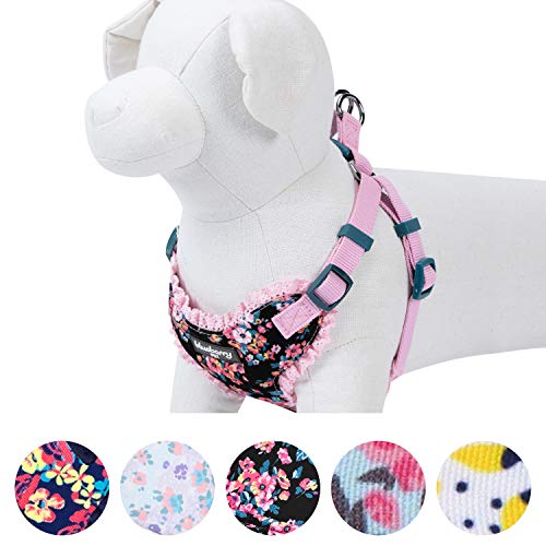 image for Blueberry Pet 6 Patterns Soft & Comfy Spring Made Well Elegant Floral 