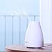 Esky 100ml Essential Aroma Humidifier Portable Ultrasonic Cool Mist 7 Color LED Lights Changing