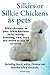 Silkies or Silkie Chickens as Pets. Silkie Bantams Facts, Raising, Breeding, Care, Food and Where to Buy All Covered. Including Black, White, Chinese