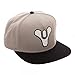 Destiny Video Game Sonic Weld Mens Logo Snapback Hat
