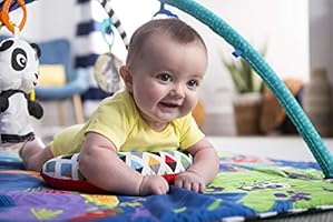 5 in 1 discovery gym