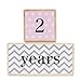 Premium Solid Wood Milestone Age Blocks | Choose From 3 Different Color Styles (Pink) | Baby Age Photo Blocks | Perfect Baby Shower Gift and Keepsake by LovelySprouts