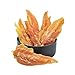 Pet Cuisine Dog Treats Puppy Chews Training Snacks,Chewy Chicken & Fish Twisters,12 oz