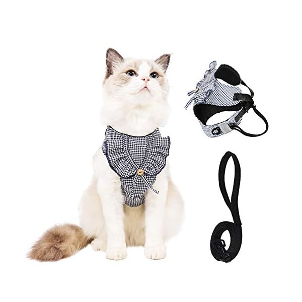 leather cat harness