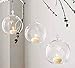 Sea View Treasures 6 Bulk 4” Round Glass Decorative Hanging Craft Balls/Terrarium