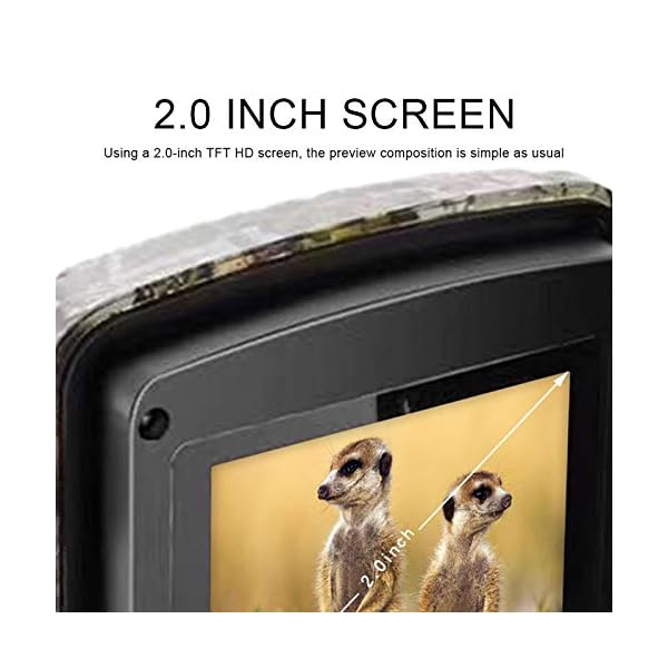 GYAM 12MP 1080P Wildkamera Nachtsicht 38 STK 940 nm IR-LEDs IP66 wasserdichte Spielkamera Bewegung aktiviert für die… – Bild 5
