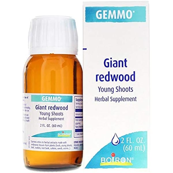 Amazon Com Boiron Gemmotherapy Giant Redwood Young Shoots Herbal Supplement Health Household