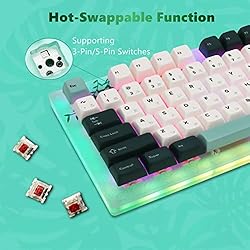 Womier K87 Custom Keyboard, 87 Keys TKL Gaming