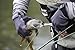 Glacier Glove Unisex Stripping Durable Flexible Quick-Dry Outdoor Fishing Fingerless Gloves w/Extended Velcro Cuff, Large