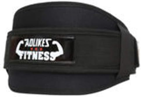 Which Is The Best Replacement Band For Bissell 1825