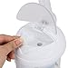 ZENY 2 in 1 Mini Facial Steamer Hair Steamer Home Spa Tabletop Warm Mist Facial Steamer