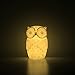 Mojocraft Serenity the Owl Battery Powered Decorative Claylike Night Light with Timer, Warm White