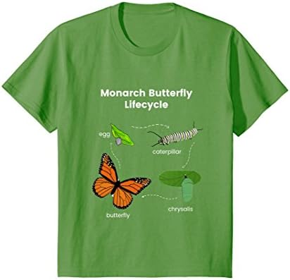 Kids Monarch Butterfly Lifecycle T-Shirt - Color Set 1 6 Grass