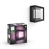 Philips Hue Econic Outdoor White & Color Wall & Ceiling Light Fixture ( Hue Hub Required, Works with Alexa, Apple Homekit & Google Assistant )