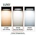 LUNO A19 Non-Dimmable LED Bulb, 6.0W (40W Equivalent), 450 Lumens, 4000K (Neutral White), Medium Base (E26), UL Certified (8-Pack)