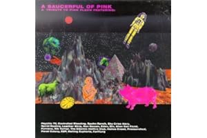 Saucerful of Pink: Tribute to Pink Floyd