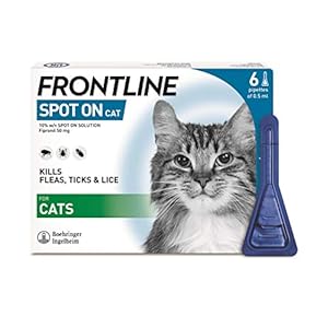 FRONTLINE Spot On Flea & Tick Treatment for Cats – 6 Pipettes