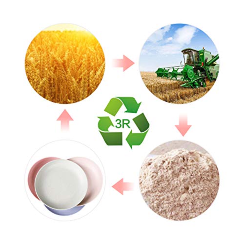 Ymeibe Wheat Straw Plates 4-Pack Reusable Lightweight Unbreakable Degradable Plates Healthy BPA Free Microwave Safe Plates (L/7.8'')
