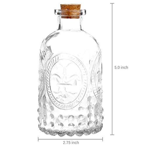 MyGift Vintage Embossed Clear Glass Diffuser Bottles with Cork Lids