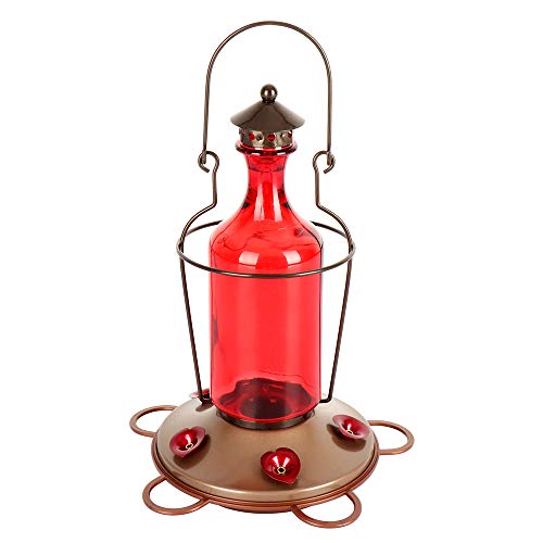 Amazon Com Feiparts Hummingbird Feeder Red Glass Bottle With 5