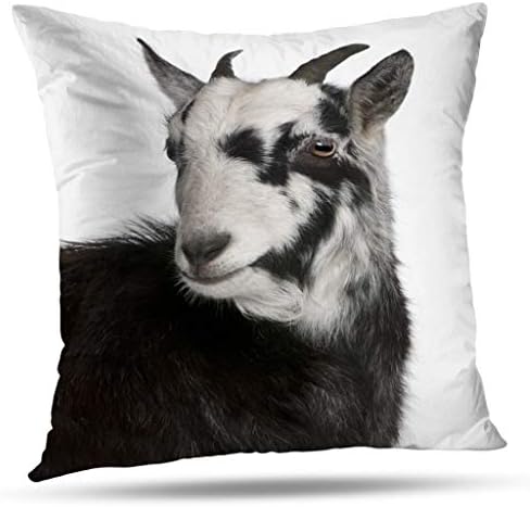 Pakaku Decorative Pillows Case Throw Pillows Covers for Couch Indoor Bed 20 x 20 Inch,Goat West France Old Front White Goat Cute Old Home Sofa Cushion Cover Pillowcase Gift Bed Car Living Home