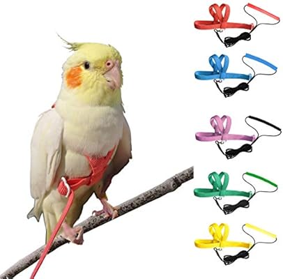 Vantronik Adjustable Bird Harness Leash Kit Outdoorflying Training Rope For Small Parrots Random Color Amazon Com Au Pet Supplies