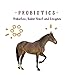Manna Pro Corp 1000082 Manna Pro Opti-Zyme Microbial Digestive Supplement for Horse, 3-Pound, White