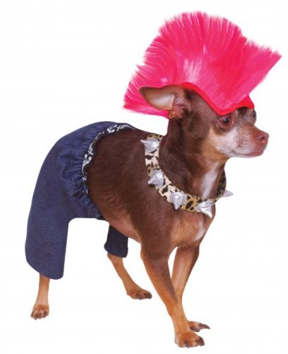 Rubies Costume Company Punk Rocker Pet Costume and Wig