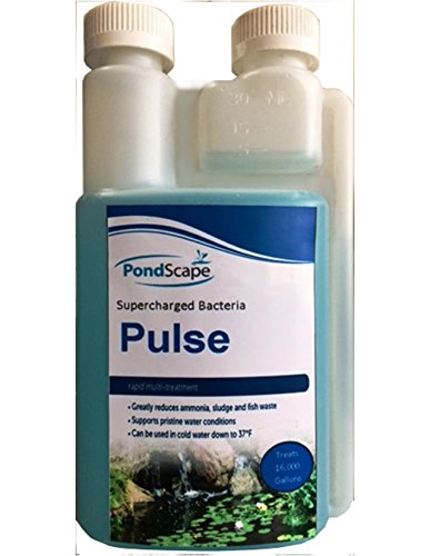 PondScape PULSE Supercharged Pond Beneficial Bacteria 16oz