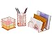 PAG Rose Gold Office Supplies 5 in 1 Desk Organizer Set - Hanging File Organizer, File Tray, Letter Sorter, Pencil Holder and Sticky Note Holder