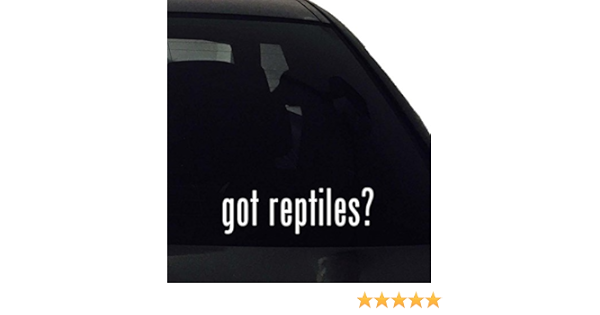 got reptiles