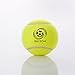 Briton Tennis Balls with Mesh Carrying Bag, Pack of 24