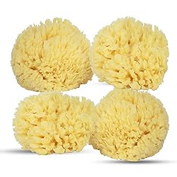 Baby Buddy Natural Wool Sea Sponge, Baby Bath